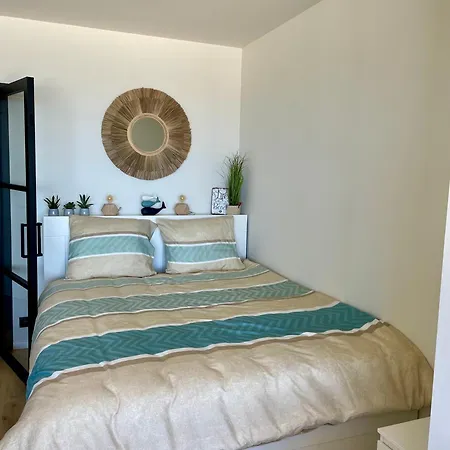 K *